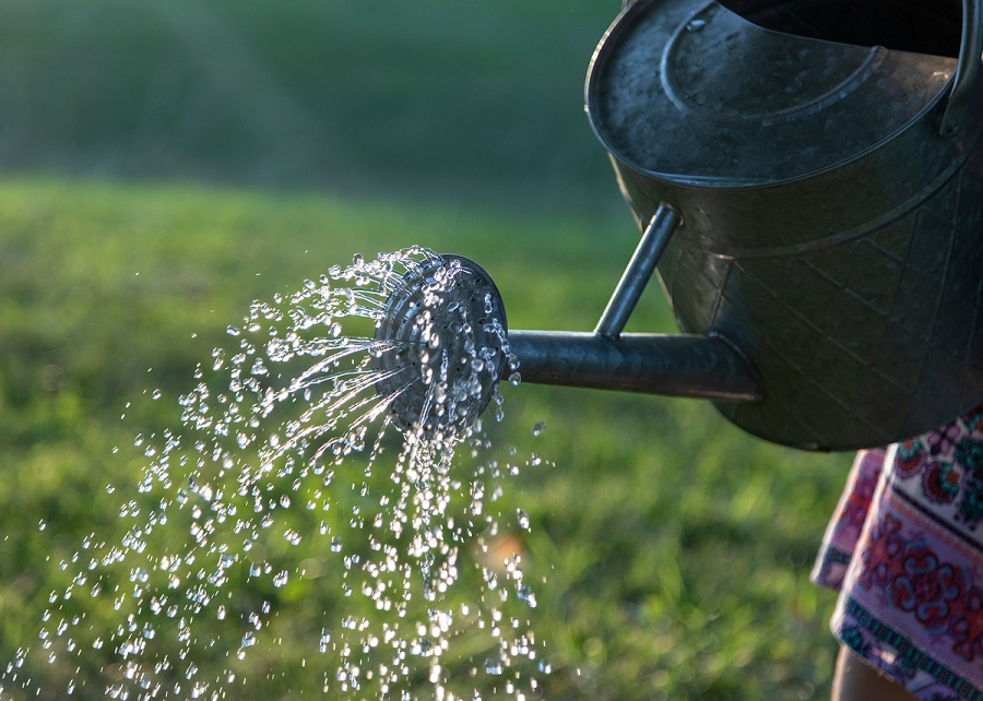 watering can-Plant Watering