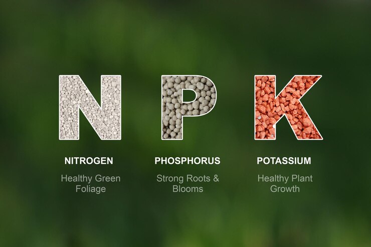 NPK-Seaweed Extract