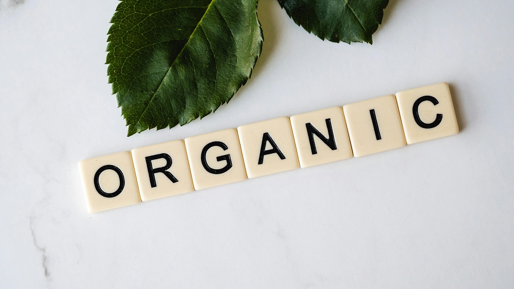 Organic Fertilizer: The 10 Picks for Vibrant Growth