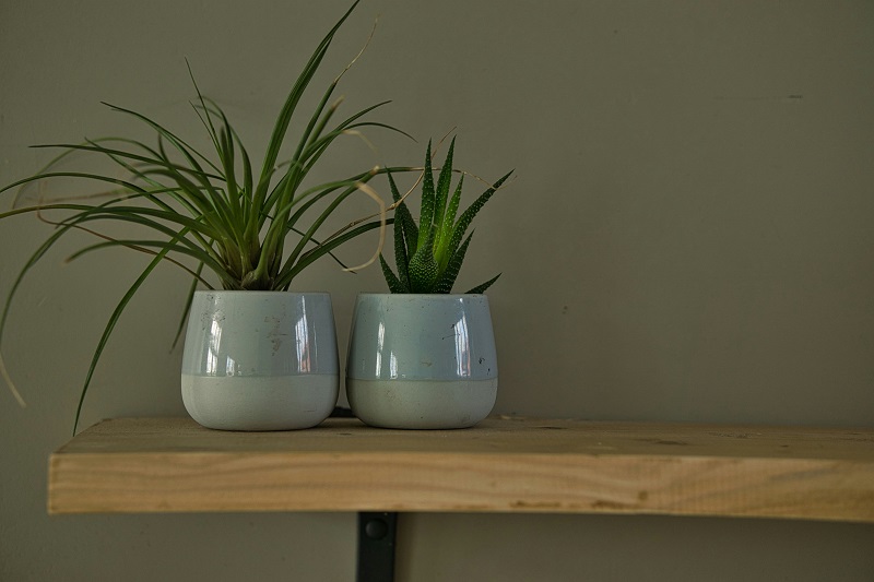 ceramic pots_planter