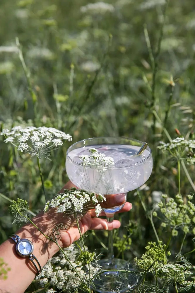 Plant Nutrient Cocktail: Secrets to a Flourishing Houseplant Collection